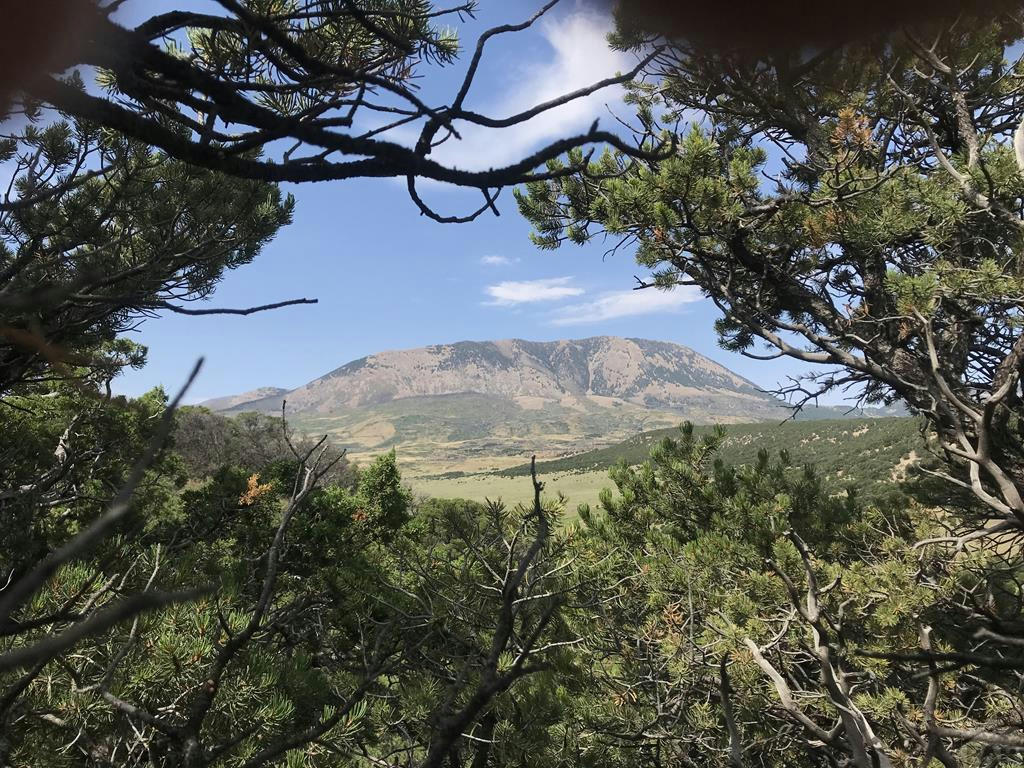 LOT 154 COLORADO LAND AND GRAZING, WALSENBURG, CO 81089, photo 1 of 10