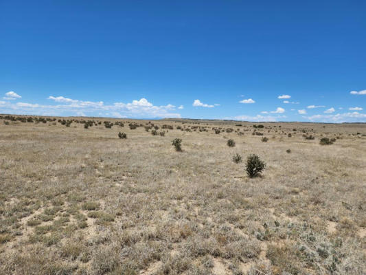 TBD COUNTY RD 113.5, MODEL, CO 81059 - Image 1