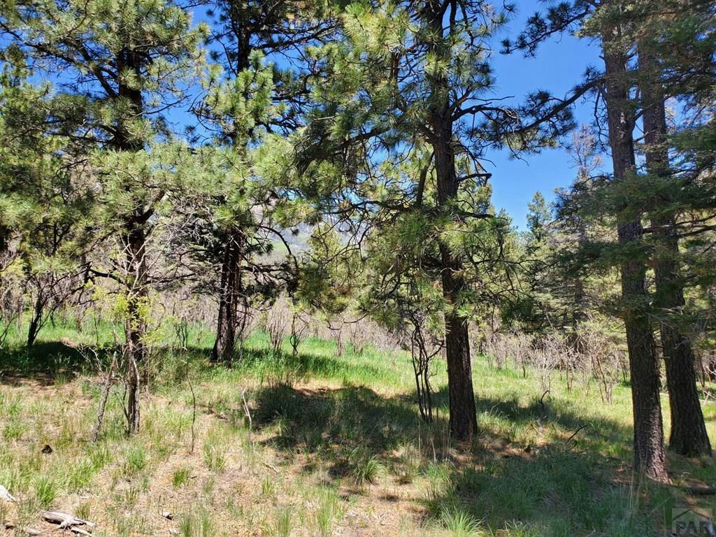 0 SPANISH PEAKS DR, AGUILAR, CO 81020, photo 1 of 23