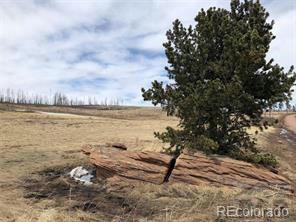 1812 FORBES PARK RD # 15, FORT GARLAND, CO 81133, photo 4 of 7