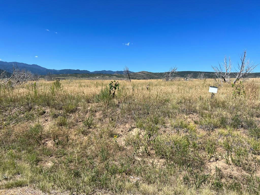 TBD GOOD PASTURE DR, BEULAH, CO 81023, photo 1 of 7