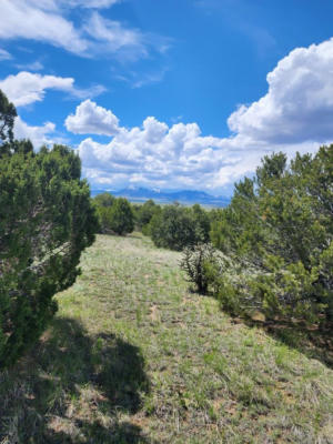 TBD LA VETA PINE RANCHES, LA VETA, CO 81055, photo 2 of 66