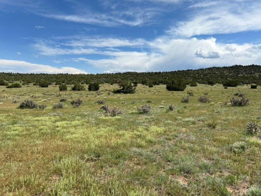 LOT 160 TWIN LAKES RANCHES, WALSENBURG, CO 81089, photo 2 of 18