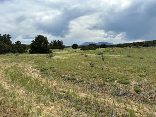 LOT 160 TWIN LAKES RANCHES, WALSENBURG, CO 81089, photo 4 of 18