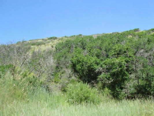 LOT 32 RASPBERRY MOUNTAIN RANCH, LA VETA, CO 81055, photo 3 of 34