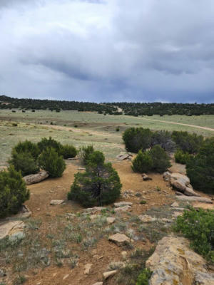 TBD MONTE NEGRO, WALSENBURG, CO 81089, photo 3 of 8