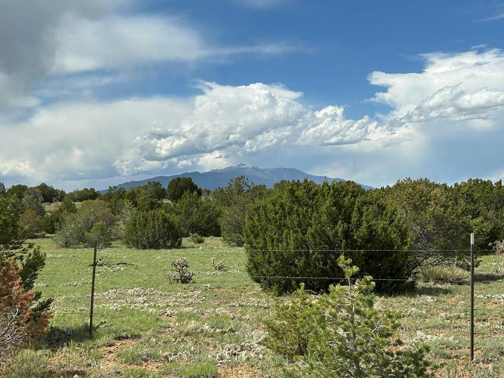 LOT 160 TWIN LAKES RANCHES, WALSENBURG, CO 81089, photo 1 of 18