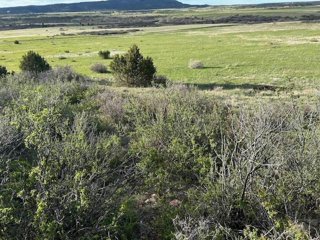 LOT 260 OVERLOOK DR, COLORADO CITY, CO 81069, photo 1 of 17
