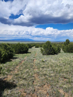 TBD LA VETA PINE RANCHES, LA VETA, CO 81055, photo 3 of 66