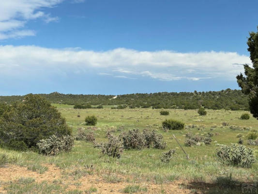 LOT 160 TWIN LAKES RANCHES, WALSENBURG, CO 81089, photo 3 of 18