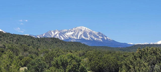 99 RIVER RIDGE TRL, WALSENBURG, CO 81089, photo 3 of 21