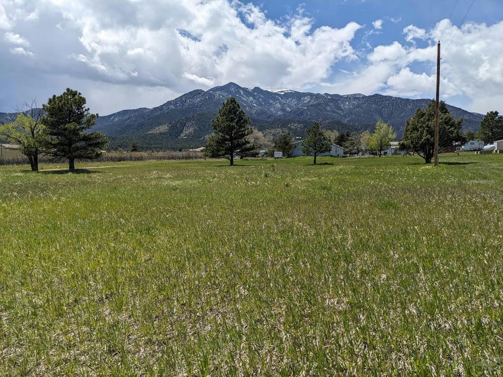 TBD PINE DR, RYE, CO 81069, photo 1 of 16
