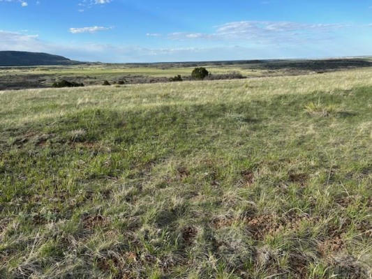 LOT 260 OVERLOOK DR, COLORADO CITY, CO 81069, photo 3 of 17