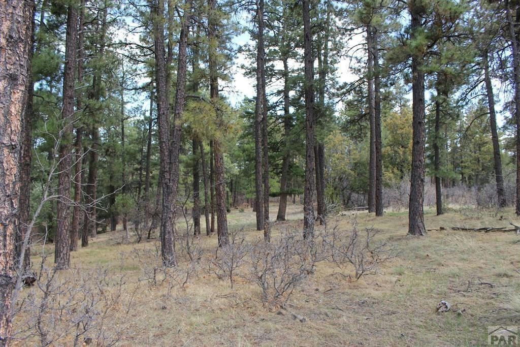 TBD PINE DR, BEULAH, CO 81023, photo 1 of 12