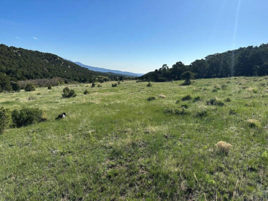 LOT 154 COLORADO LAND AND GRAZING, WALSENBURG, CO 81089, photo 2 of 10