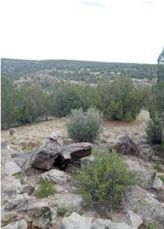 LOT 140 CABOOSE LN, RYE, CO 81069, photo 1 of 6
