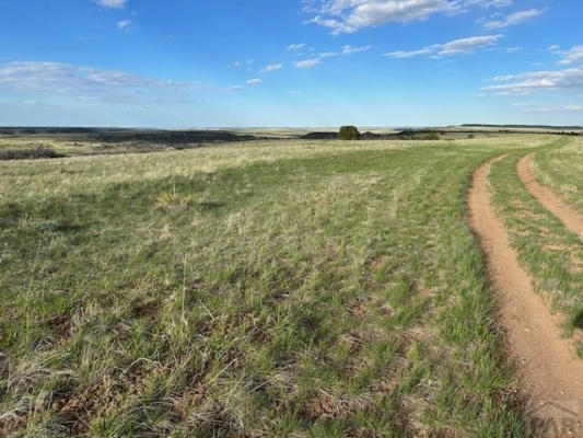 LOT 260 OVERLOOK DR, COLORADO CITY, CO 81069, photo 4 of 17