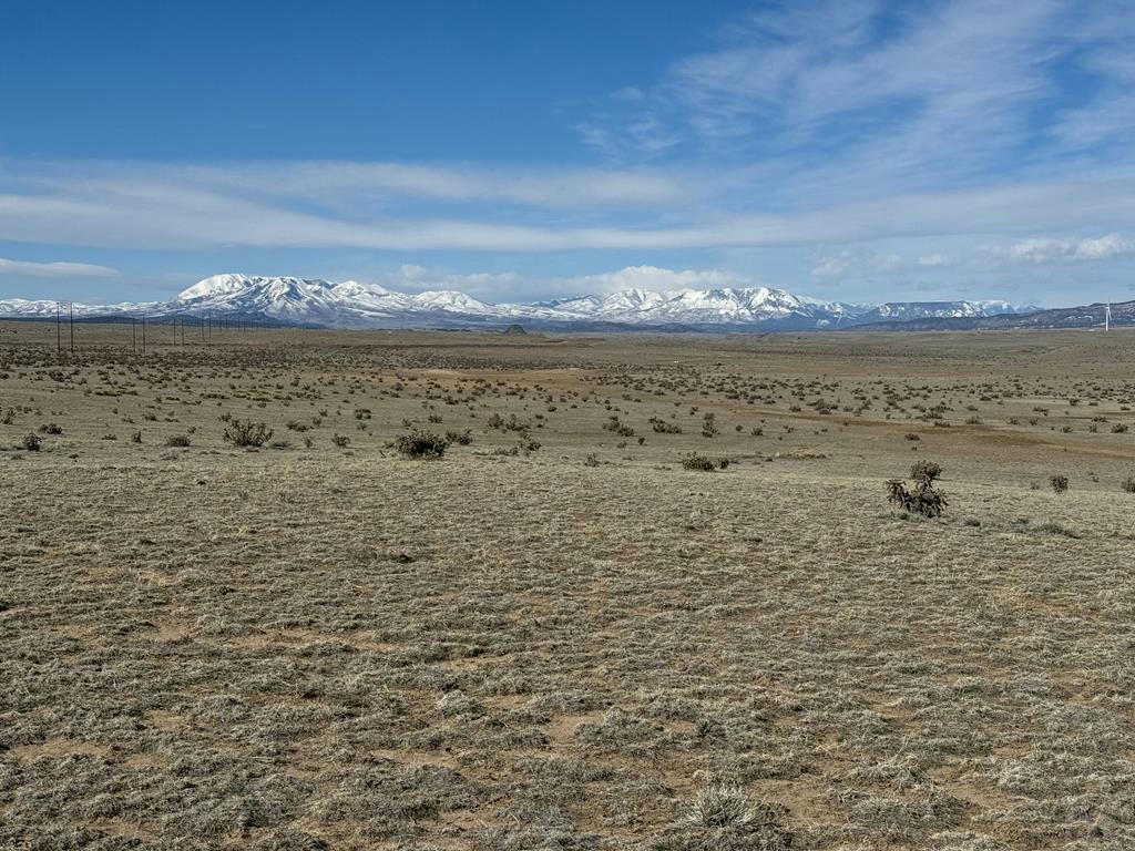 LOT 202 COLORADO LAND AND LIVESTOCK, WALSENBURG, CO 81089, photo 1 of 7