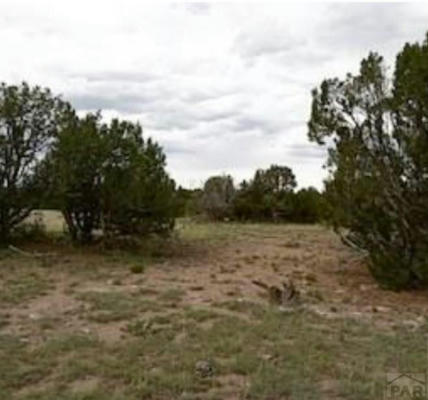 LOT 140 CABOOSE LN, RYE, CO 81069, photo 4 of 6