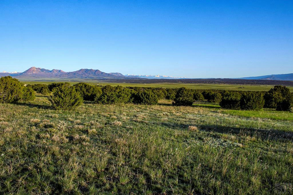 TBD LA VETA PINE RANCHES, LA VETA, CO 81055, photo 1 of 66