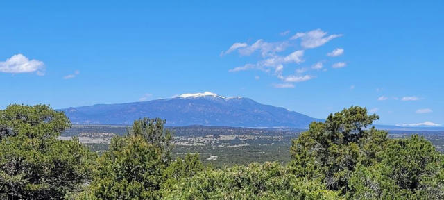 99 RIVER RIDGE TRL, WALSENBURG, CO 81089, photo 2 of 21