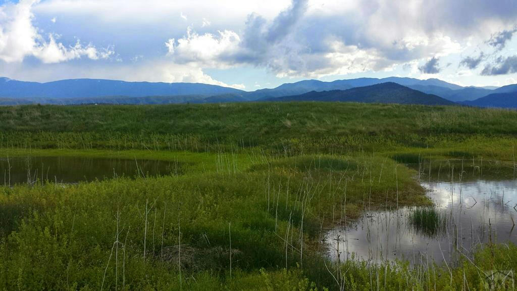 LOT 36 HART RANCH DR, BEULAH, CO 81023, photo 1 of 30