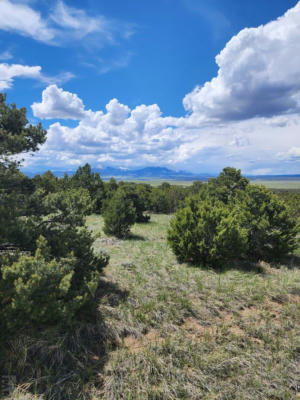 TBD LA VETA PINE RANCHES, LA VETA, CO 81055, photo 4 of 66