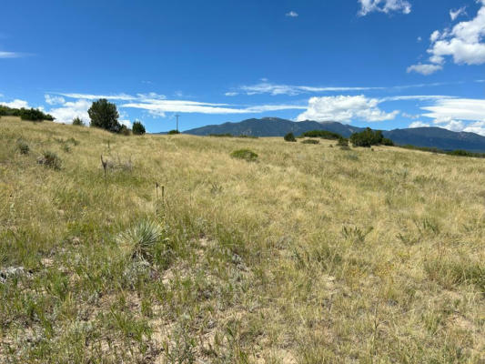 LOT 106 PINTO DR, COLORADO CITY, CO 81019 - Image 1