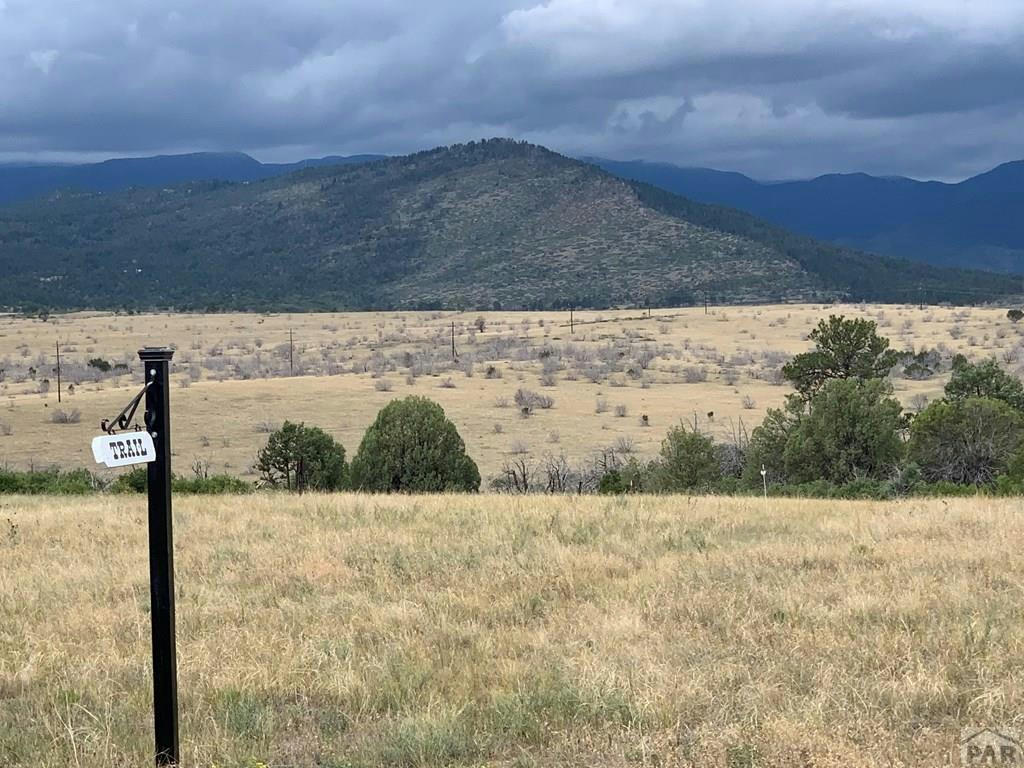 LOT 38 HART RANCH DR, BEULAH, CO 81023, photo 1 of 14