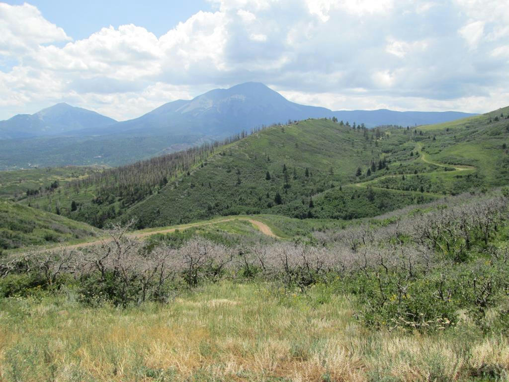 LOT 32 RASPBERRY MOUNTAIN RANCH, LA VETA, CO 81055, photo 1 of 34