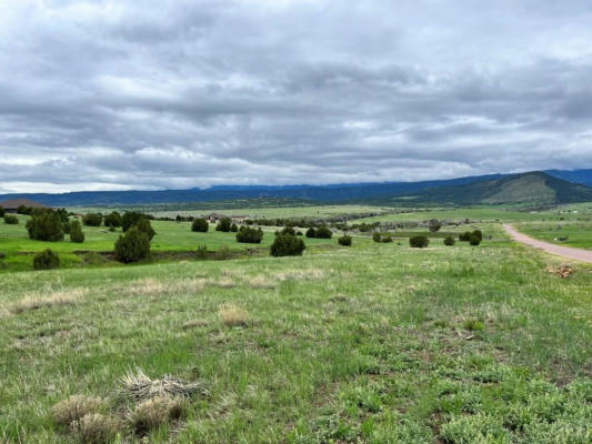 LOT 9 HART RANCH DR, BEULAH, CO 81023, photo 2 of 12